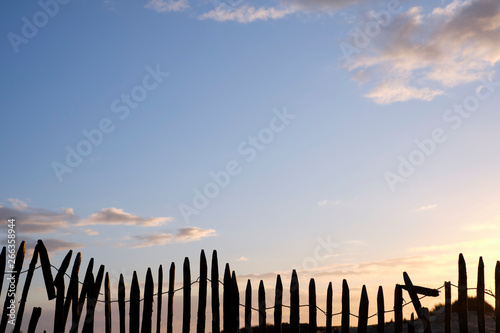 Wooden fence in the dunes near The Hague, Netherlands.