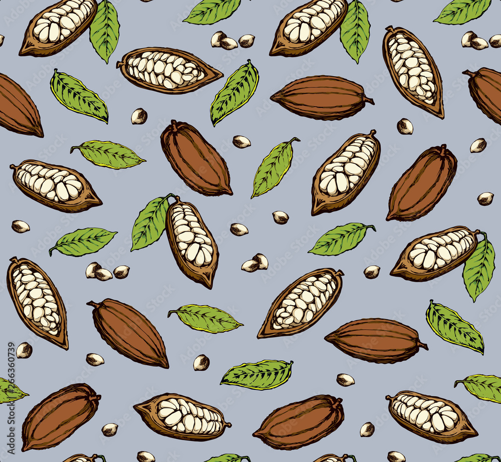 Cocoa Fruits. Vector drawing Cocoa Fruits. Vector drawing