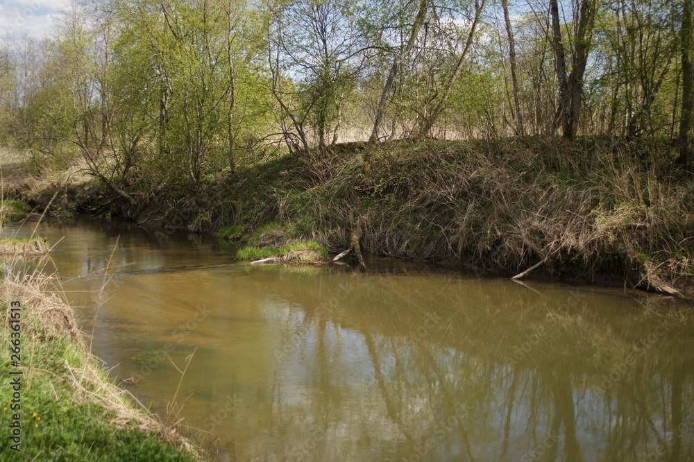 River in the forest. Spring landscape in sunny warm weather. Camping. Photo background. River in the forest. Spring landscape in sunny warm weather. Camping. Photo background.