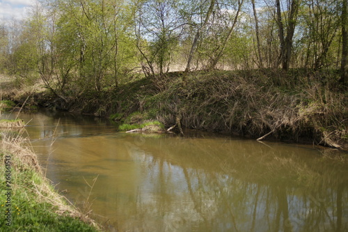 River in the forest. Spring landscape in sunny warm weather. Camping. Photo background.
