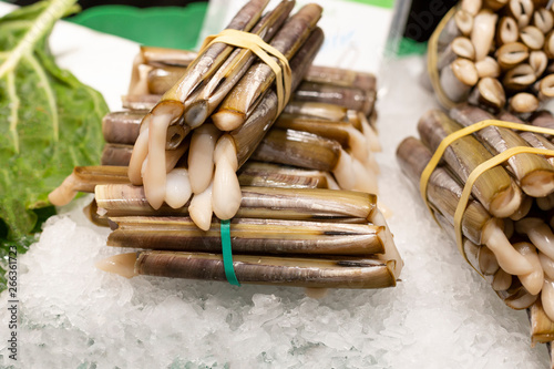 Traditional seafood solen, marine bivalves, on the ice at the market showcase. photo