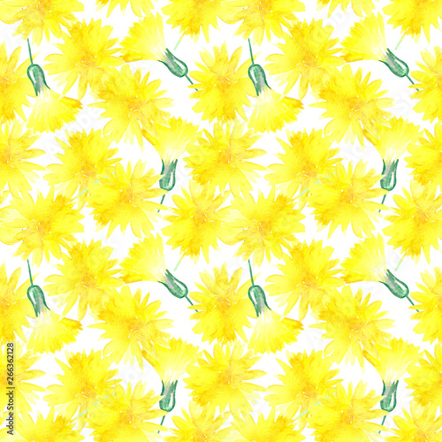 Beautiful seamless pattern with watercolor yellow spring flowers in a white background. Illustration.