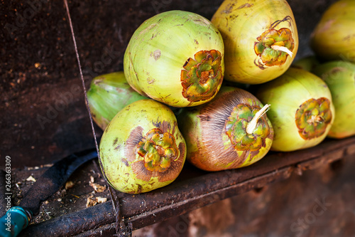 Lots of fresh green coconuts lined with a stack. Close-up market stalls photo