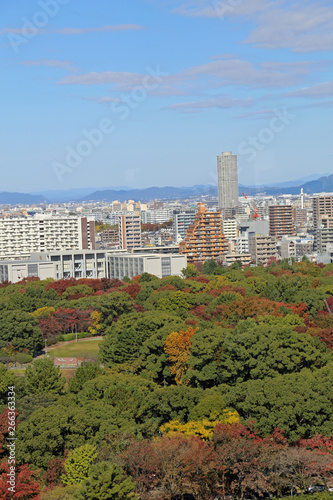 名古屋城の天守閣からの風景 © ehime2020