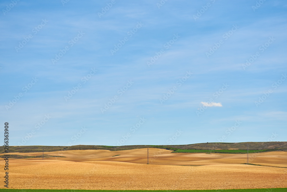 Landscape in spring with fields full of brown and green colors
