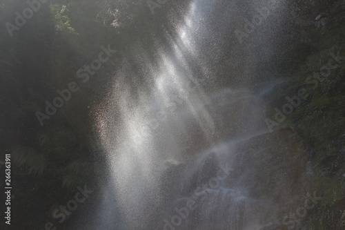 Tableau sur toile contraluz flear