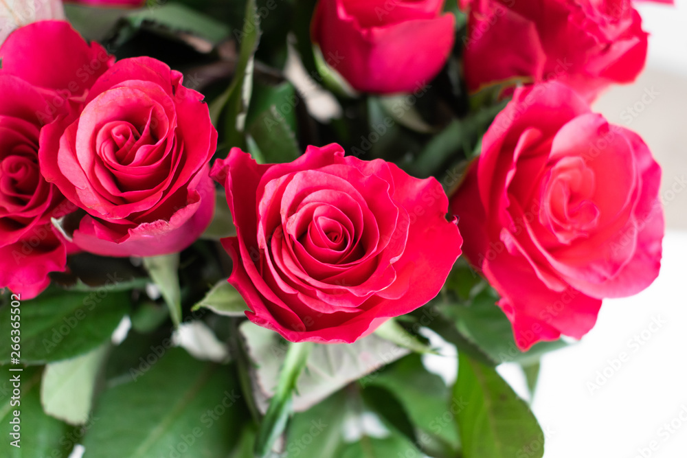 Red roses bouquet with a pink touch. Indoors with white background. Red roses bouquet with a pink touch. Indoors with white background.