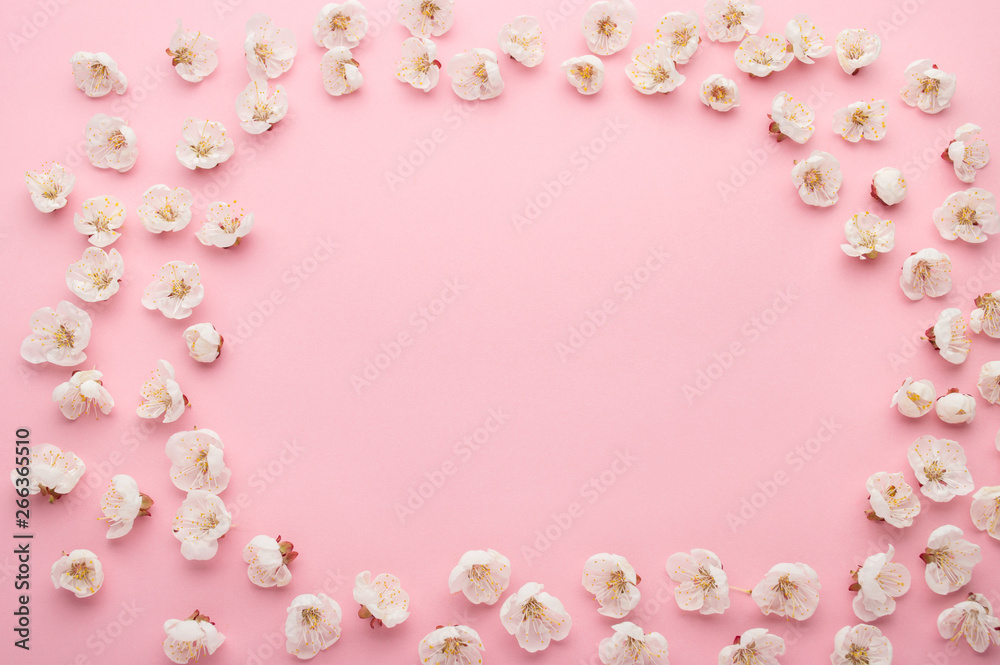 Spring flower background. An apricot blossoms on a pink background. Copy space for Inscription. Mock-up for lovely greeting card with flowers for Mothers day, wedding, easter or birthday. Spring flower background. An apricot blossoms on a pink background. Copy space for Inscription. Mock-up for lovely greeting card with flowers for Mothers day, wedding, easter or birthday.