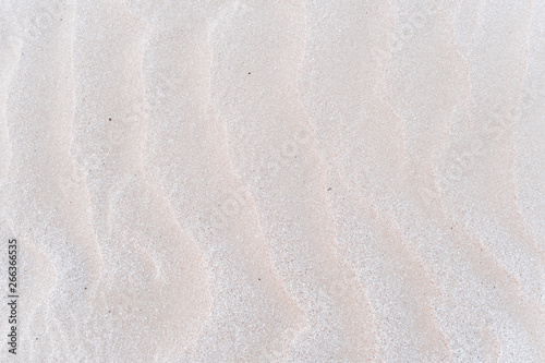 Sand texture . Sandy beach for background .