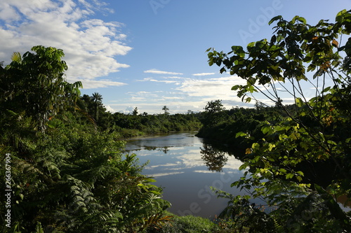 Blick über einen Nebenfluss des Boven Digoel in West Papua Indonesien