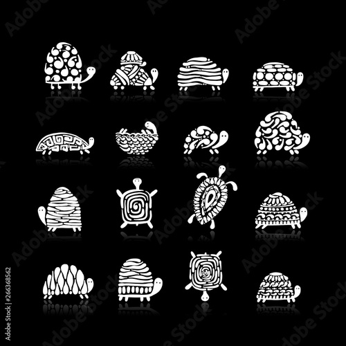 Turtle logo set for your design