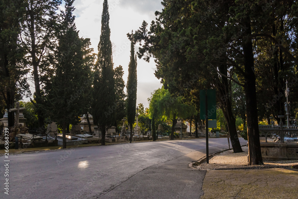 Perspective view of the curved road, graves and trees on the Montjuic Cemetery, Barcelona, Catalonia, Spain