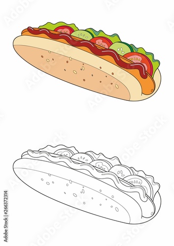 Homemade hot dog. Appetizing hotdog isolated on white background. King size hotdog. Vector illustration. 