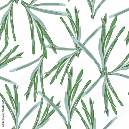 Fototapeta Naklejka Na Ścianę i Meble -  Seamless floral pattern of grasses on the white background. Fabric texture. Wallpaper. 