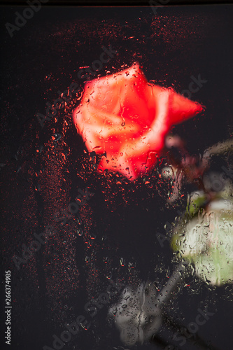 Fototapeta Naklejka Na Ścianę i Meble -  Rosa vista a través de un cristal lleno de gotas
