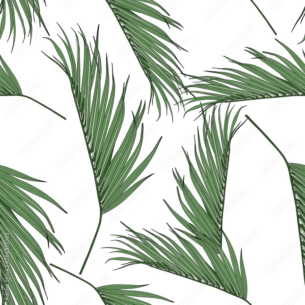 Green coconut palm leaves by hand drawing and sketch with line-art seamless pattern on white backgrounds. Green coconut palm leaves by hand drawing and sketch with line-art seamless pattern on white backgrounds.