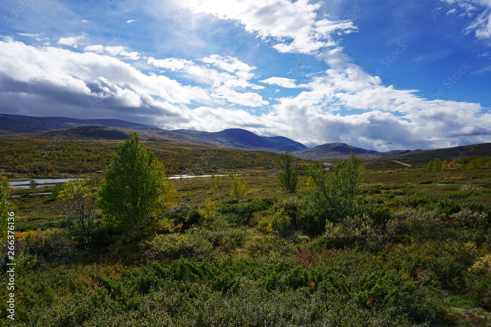 Fototapeta premium landscape in Otta at a sunny day in norway