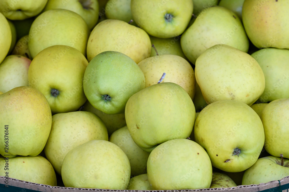 Group of fresh green apples displayed for sale at a street food market, in direct sunlight Group of fresh green apples displayed for sale at a street food market, in direct sunlight