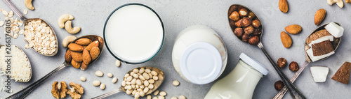 Konstfotografi Vegan milk and ingredients on rustic background, flat lay