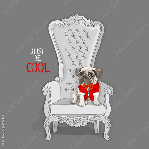 Puppy Pug in a red Tuxedo collar on a throne armchair. Vector illustration.