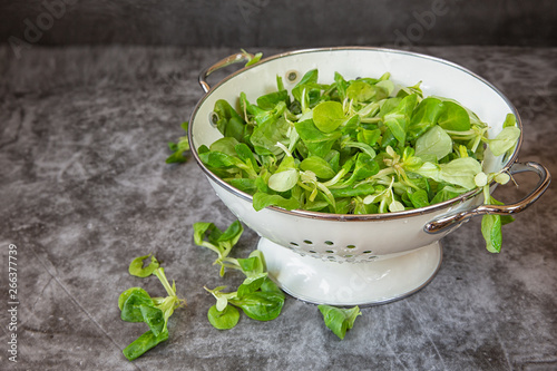 Field salad in a bowl for washing vegetables. on a dark background . Vegetarianism and healthy food	