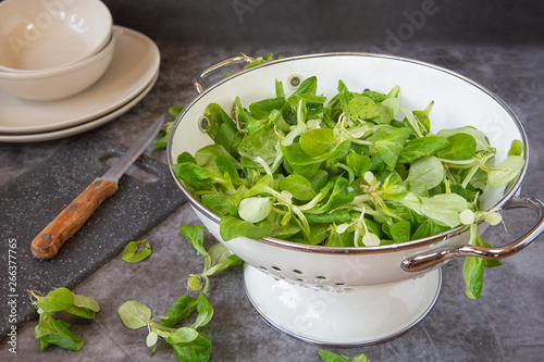 Field salad in a bowl for washing vegetables. on a dark background . Vegetarianism and healthy food	