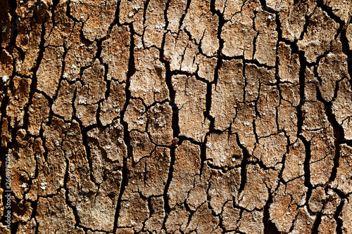 dry cracked earth backgrounds