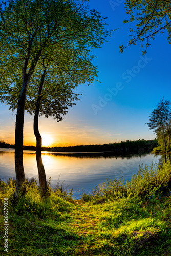 Fototapeta Naklejka Na Ścianę i Meble -  Lake with trees at sunset on a beautiful summer evening