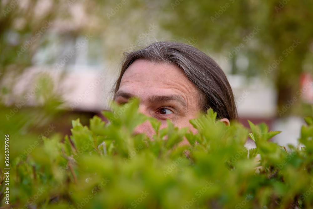 A man with a beard and a mustache is peeping in the park from behind bushes. A man with a beard and a mustache is peeping in the park from behind bushes.
