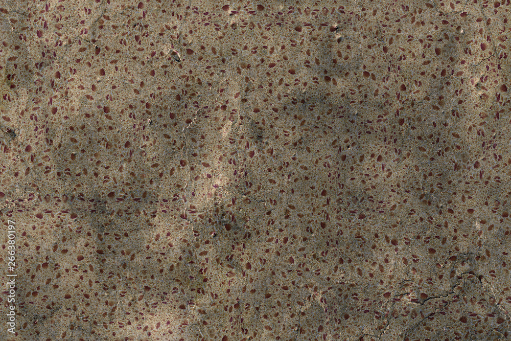 natural organic sponge structure texture background wallpaper