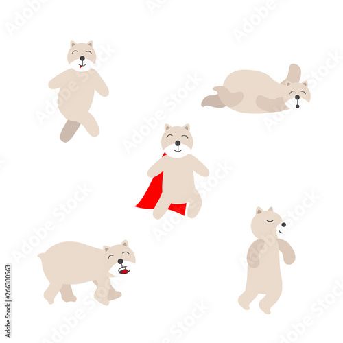 Set of Polar bear vector illustration. Bear on white background.