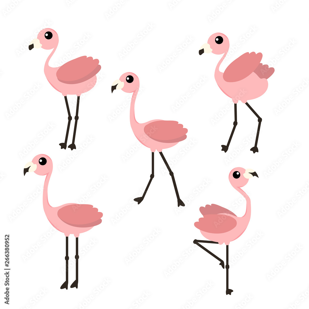 Obraz premium Set of pink flamingo vector illustration isolated on white background