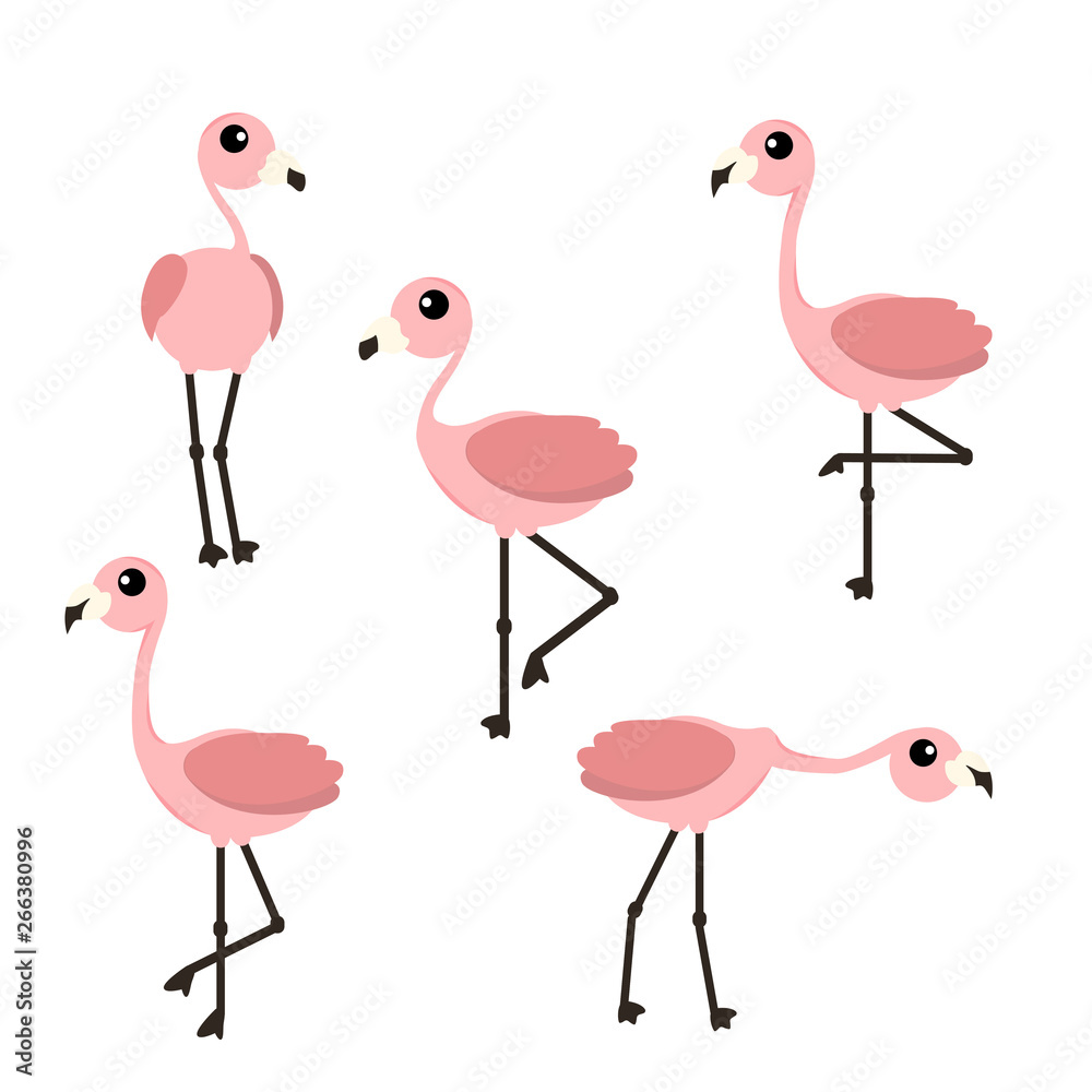 Obraz premium Set of pink flamingo vector illustration isolated on white background