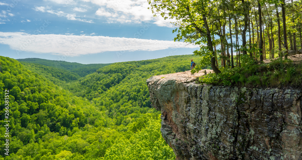 Tourist visitors couple taking pictures at Whitaker Point rock cliff hiking trail, landscape view, Ozark mountains, nwa northwest arkansas - obrazy, fototapety, plakaty 