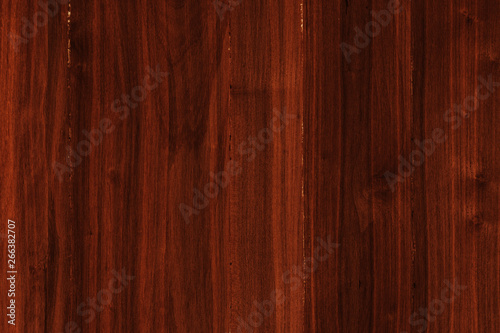 acacia timber tree wooden surface wallpaper structure texture background