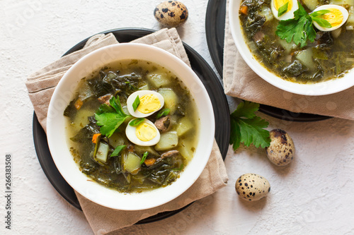 Green Sorrel soup - a soup made from broth, sorrel leaves, spinach,  eggs (hard boiled), potatoes, carrots, parsley root. Polish, Ukrainian, Belarusian, Russian, Jewish dish. photo