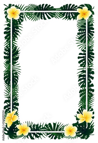 Green plants, exotic leaves, banana leaf, areca palm, plumeria tropical frame
