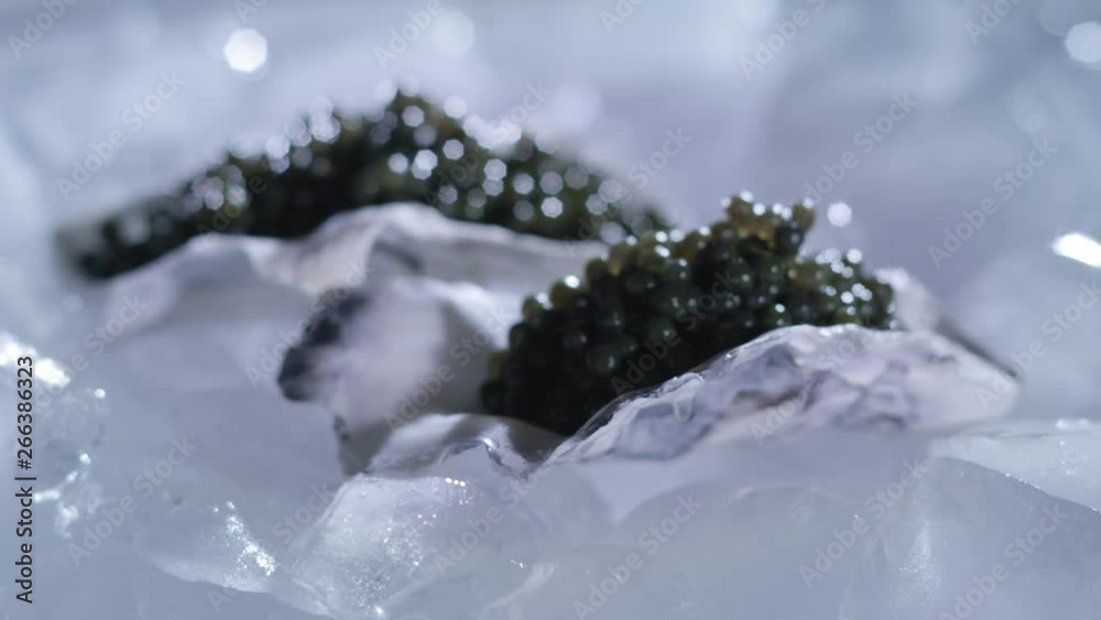 Black Granular Sturgeon Caviar in Oyster. Focal Length Change. Food in Ice. Luxury Appetizer Black Granular Sturgeon Caviar in Oyster. Focal Length Change. Food in Ice. Luxury Appetizer