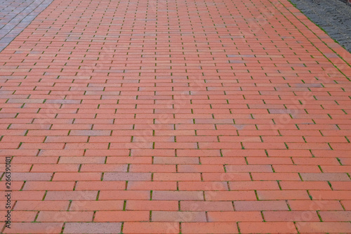 Red Paving slab, background. Pedestrian zone in the park in daylight. Urban walkway.