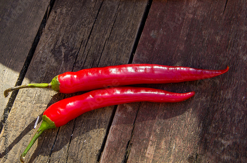spicy red chilli front on wooden background