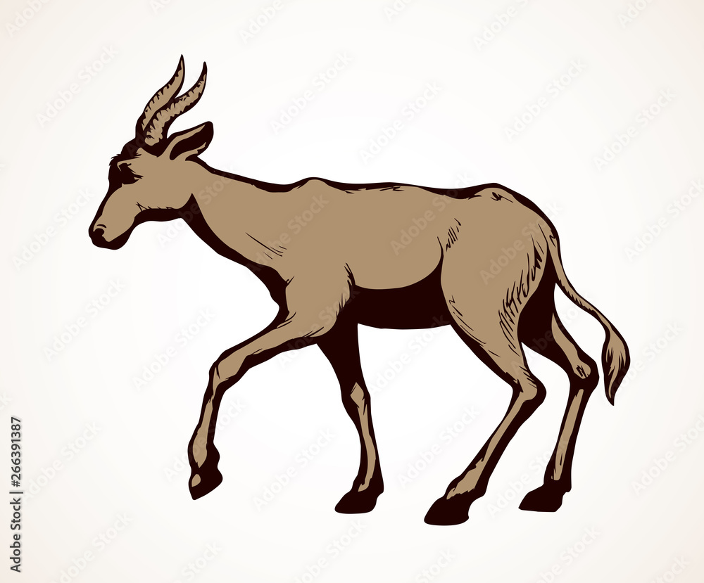 Antelope. Vector illustration