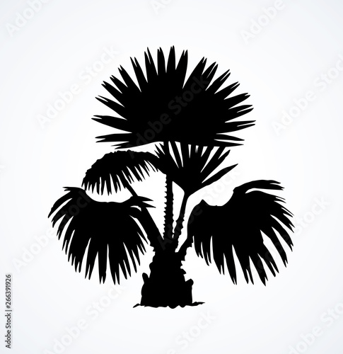 Tropical bush. Vector drawing