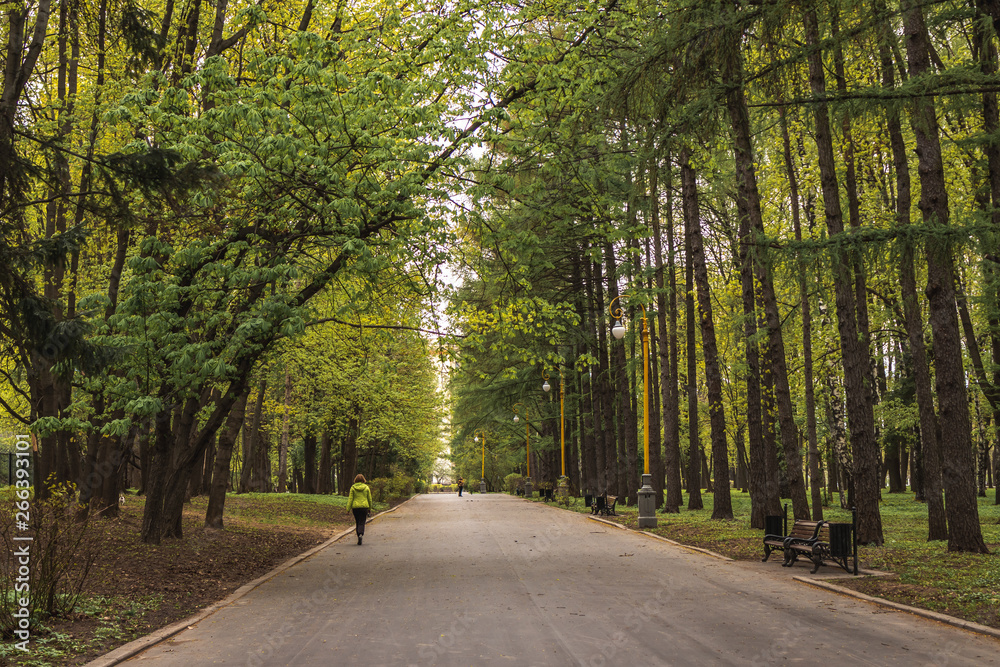 Sidewalk walking pavement alley path with trees in park. nature landscape. Summer walk. Sidewalk walking pavement alley path with trees in park. nature landscape. Summer walk.