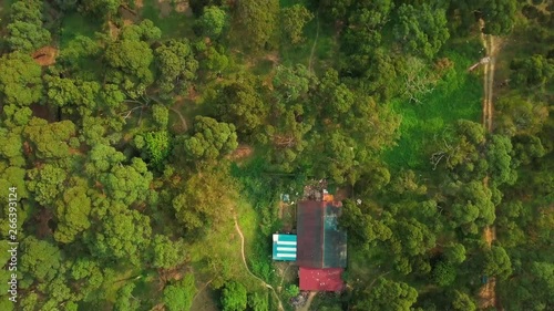 Palm oil plantation aerial view, Bakri, Malaysia photo