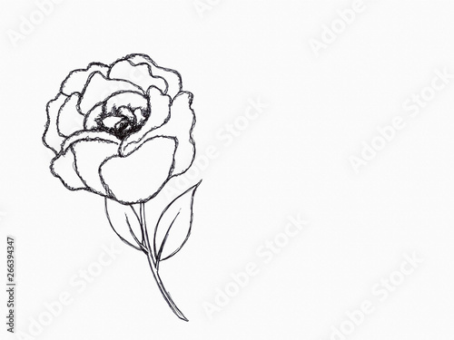 Drawing of a rose, rough outline