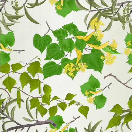 Seamless texture branches linden Willow  with catkins and birch branch natural spring background vintage vector illustration editable hand draw