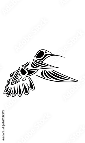 Colibri Vector