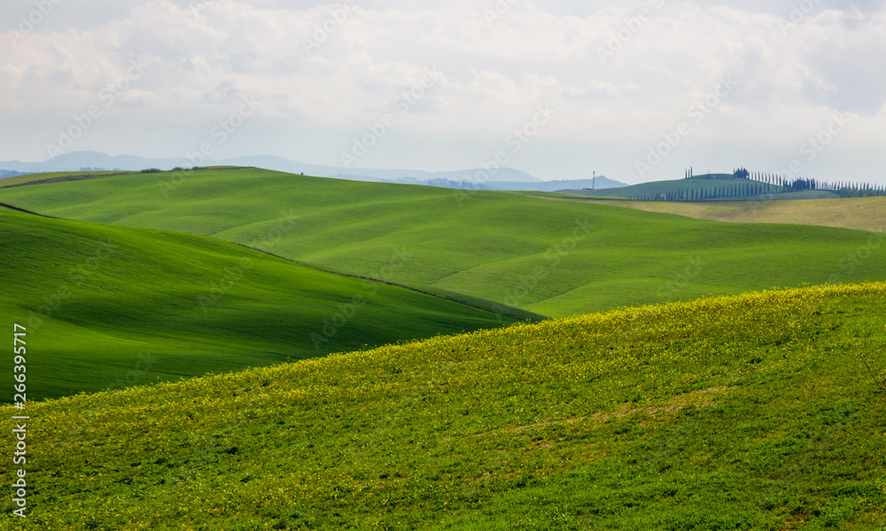 Crete Senesi green hills in Tuscany