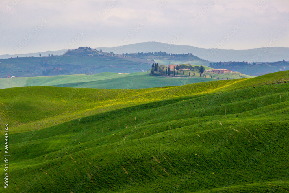 Fototapeta premium Crete Senesi green hills in Tuscany