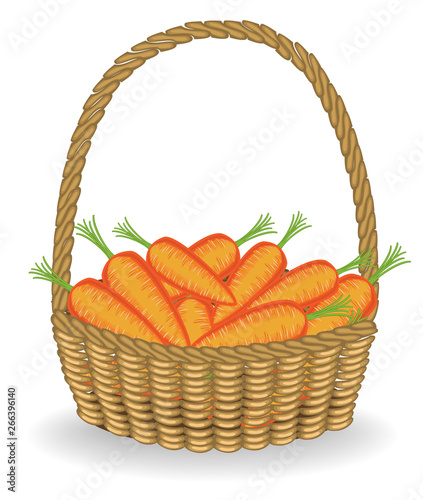 Generous harvest. In a beautiful wicker basket  fresh carrots. The vegetables are very tasty and vitamin. It is necessary for cooking and healthy. Vector illustration